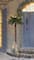 6ft. Pre-Lit Artificial Palm Tree, Clear Lights